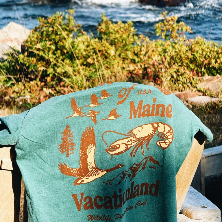 Maine Wildlife