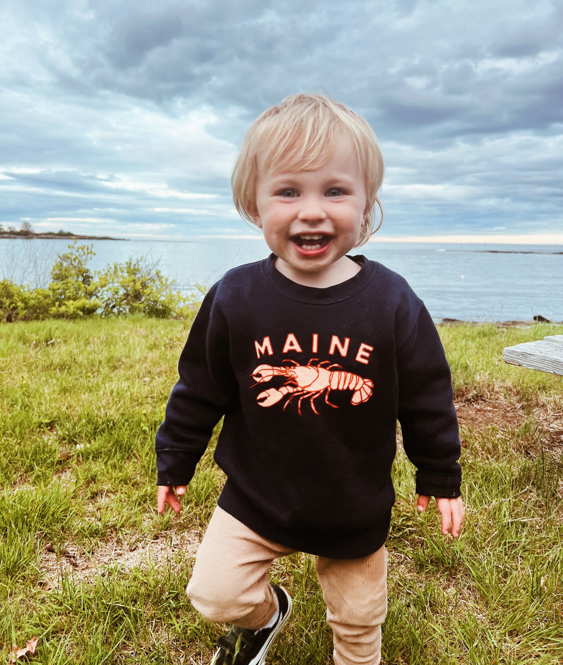 Kids Lobster - Toddler Navy Crew