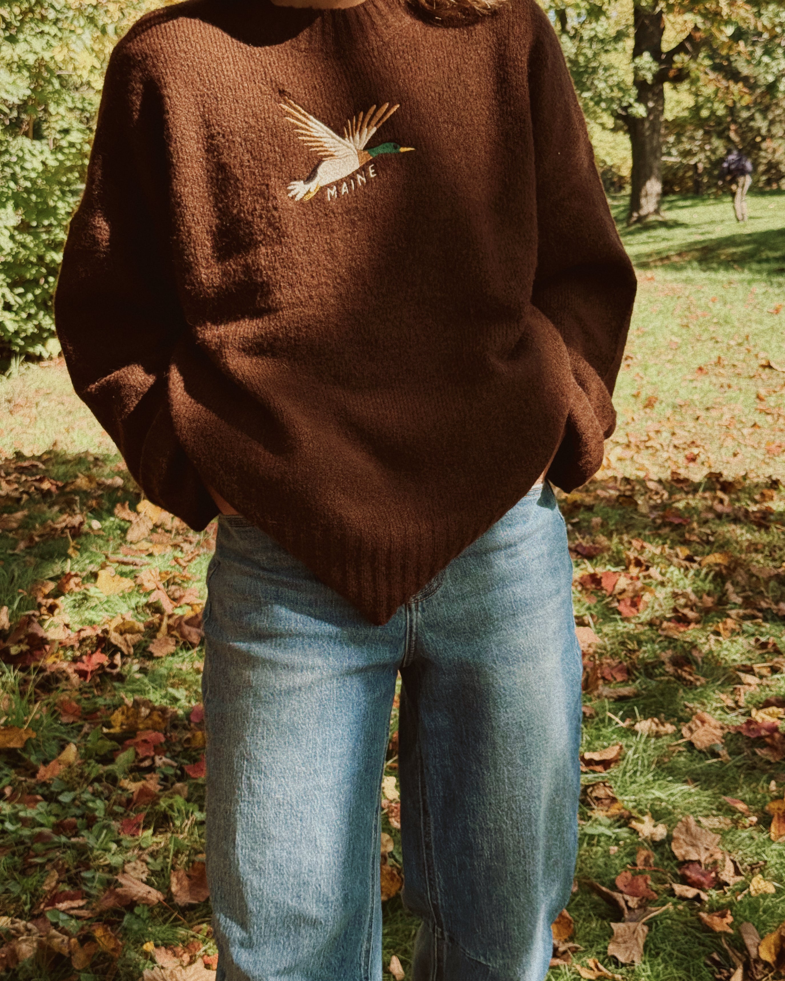 Flying Duck Knit Sweater