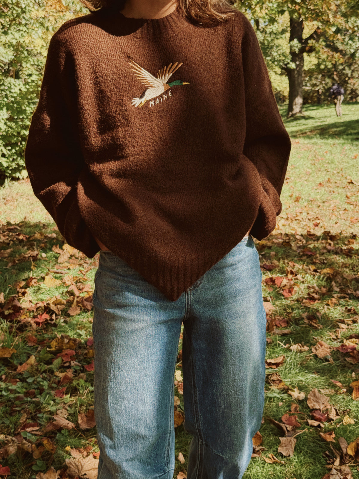 Flying Duck Knit Sweater