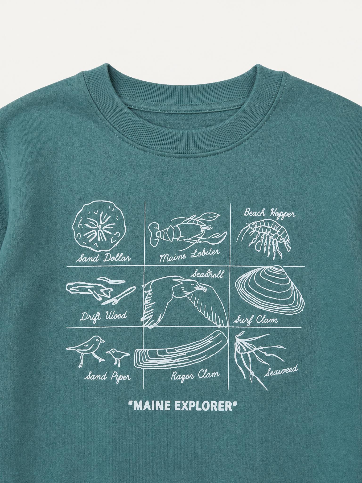 Maine Explorer - Toddler Crew